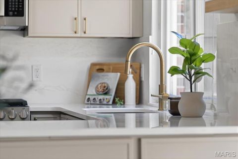 Tiny photo for 1061 Summer Tree Drive, Ballwin, MO 63011 (MLS # 26000805)