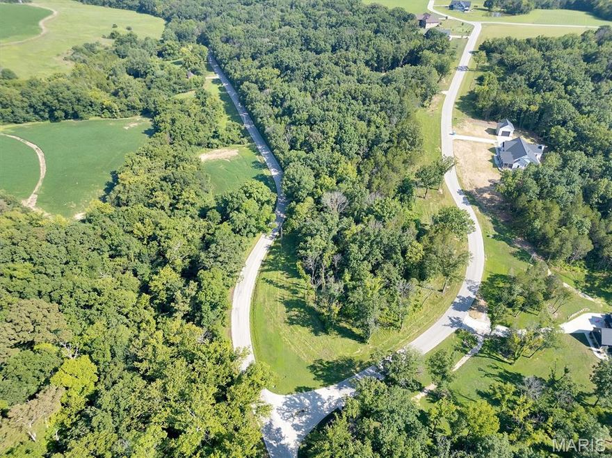 Nestled against a backdrop of mature Missouri woodlands, this 4.5+\- acre parcel offers unparalleled privacy and picturesque views in a serene rural setting. Enjoy the best of modern living with high-speed internet and public water accessibility with utilities available at road. Located in a quiet neighborhood and just minutes from charming small-town Labadie, you'll appreciate the ideal balance of rural beauty and community charm. Restrictions in place to preserve the quality and character of the neighborhood. Don't miss out on this opportunity to build your dream home!