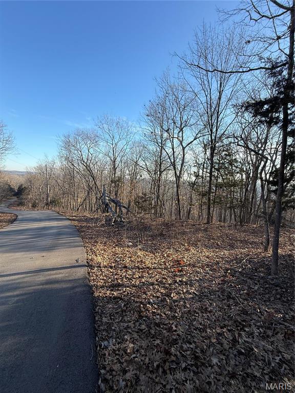 1652 Timber Bluff Trail
