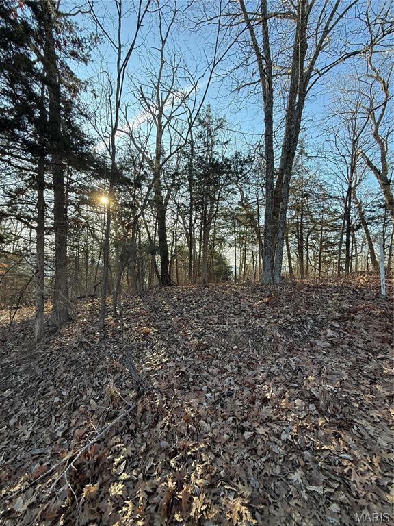 1652 Timber Bluff Trail
