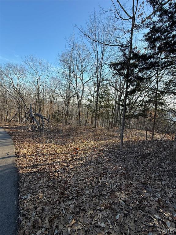 1652 Timber Bluff Trail