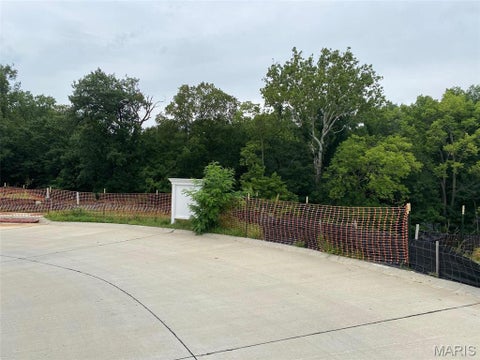 Tiny photo for 2041 Lily Avenue, Kirkwood, MO 63122 (MLS # 26050284)