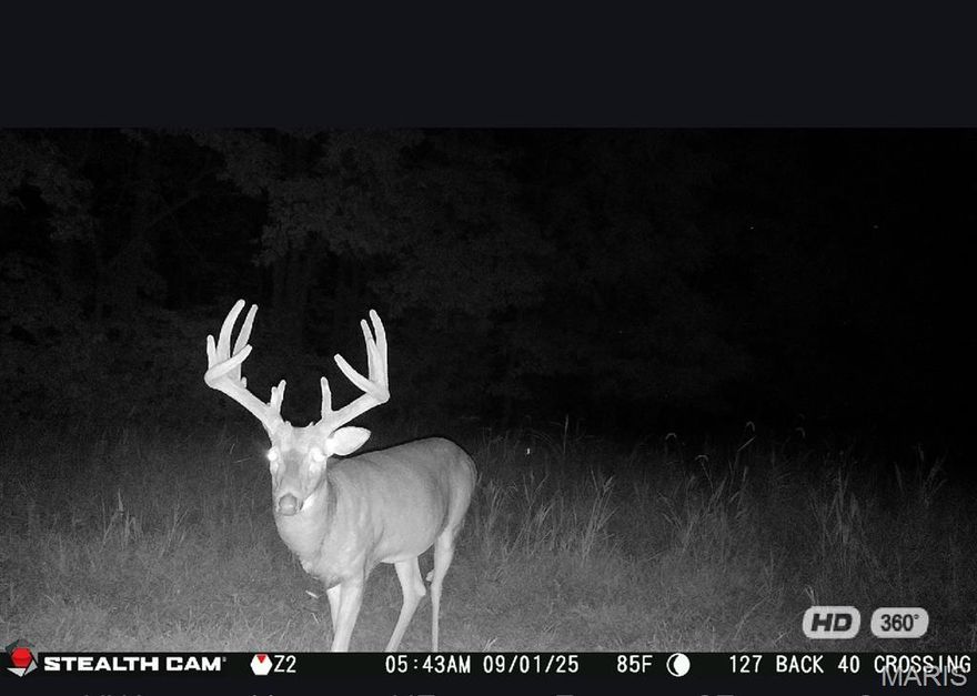 Incredible opportunity to own 67 +/- Acres in a highly sought after area.  Land in this area does not come up for sale often.  Extremely private property with a good mix of open and wooded ground.  Fantastic hunting for both whitetail deer and turkeys. (Check out some of the trail cam photos.)  A wet weather creek runs through a portion of the property.  There are multiple desirable building sites and several potential lake sites.  Whether you are looking for a recreation piece or a place to build your forever home, the privacy, character and convenient location of this piece is hard to beat.  Just 3 miles from Marthasville and only 7 miles from Washington.  Call to schedule a private tour today.