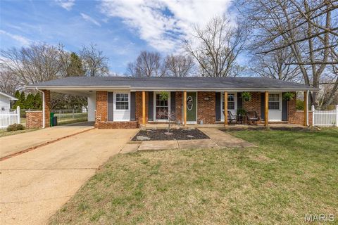 Photo of 506 Yosemite Street, Farmington, MO 63640 (MLS # 26018094)