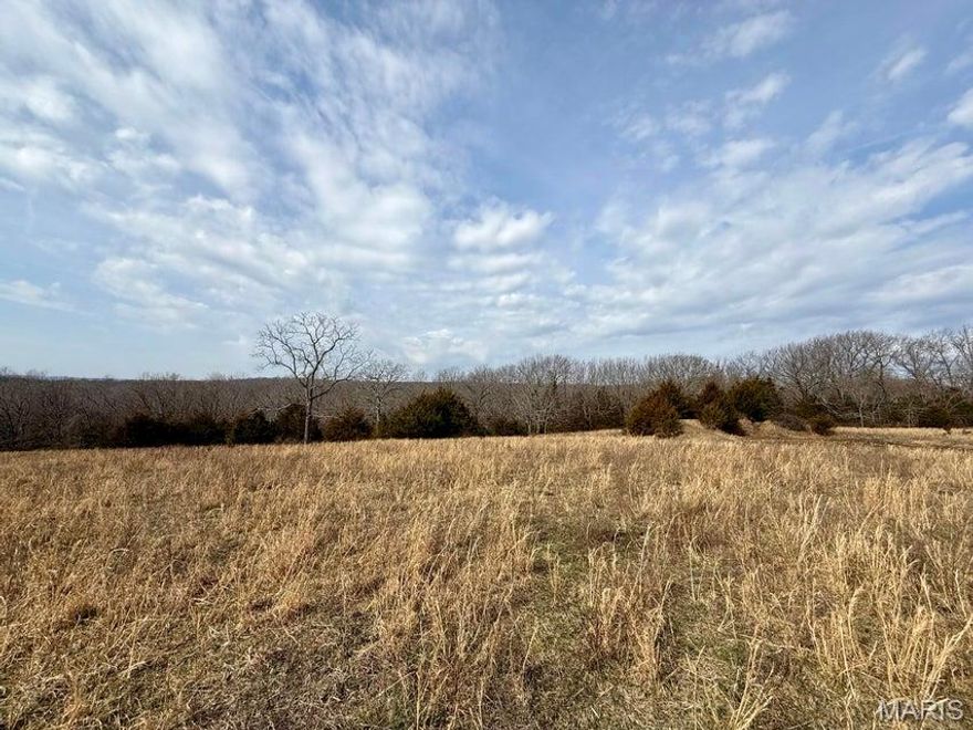 Surveyed 40.49 acres of unrestricted land in rural Texas County, Missouri. State highway frontage and electric on the property to this ideal home build site, hunting or recreational land. Perimeter fenced, 3 ponds, spring and wet weather creek for livestock needs. Cabool address, Houston School District. Owner financing is available.