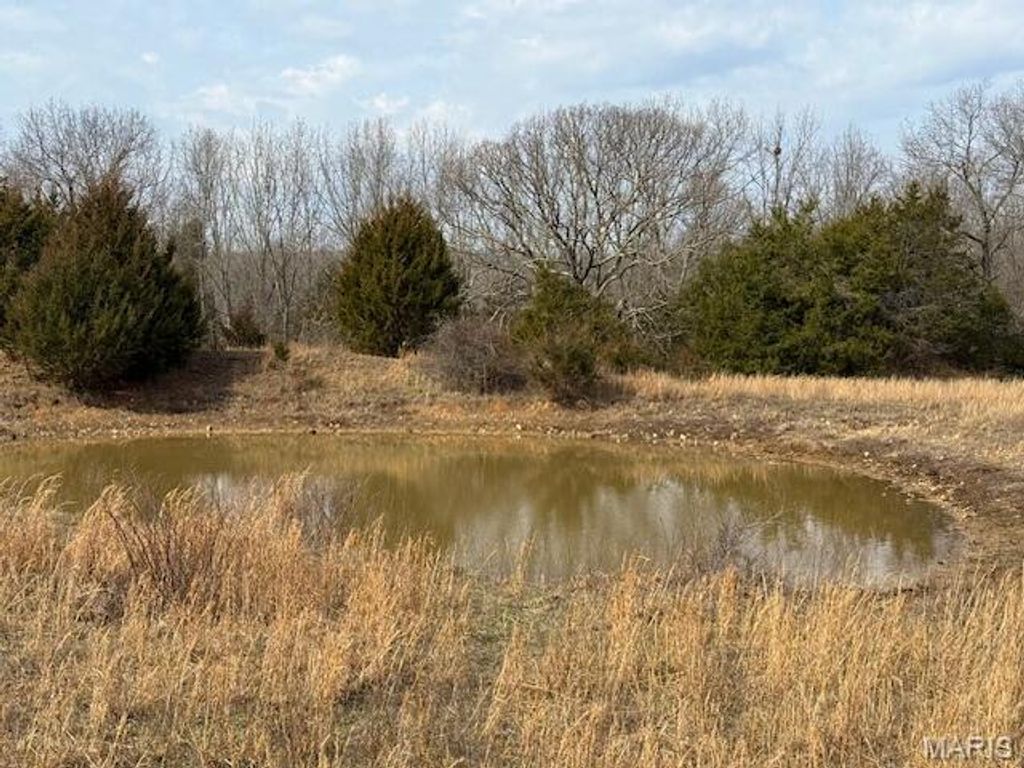 Photo of 000 Hwy M Tract D, Cabool, MO 65689 (MLS # 26016371)
