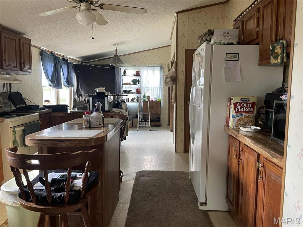Photo of 145 W Click Avenue, Puxico, MO 63960 (MLS # 25073610)