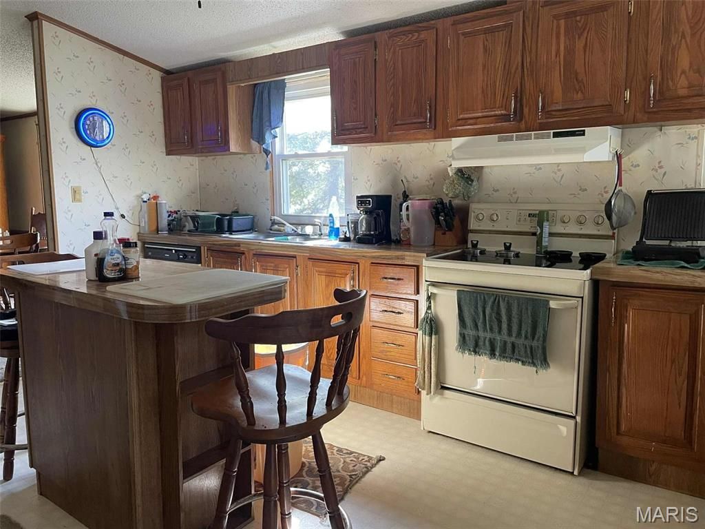 Photo of 145 W Click Avenue, Puxico, MO 63960 (MLS # 25073610)