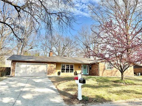 205 Jubaka Drive Fairview Heights IL 62208