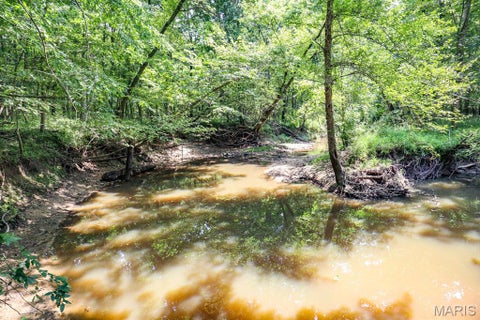 Tiny photo for 000 Ratermann, Silex, MO 63377 (MLS # 26055935)