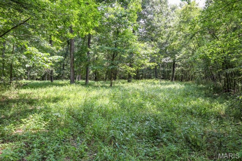 Tiny photo for 000 Ratermann, Silex, MO 63377 (MLS # 26055935)