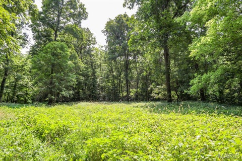 Tiny photo for 000 Ratermann, Silex, MO 63377 (MLS # 26055935)