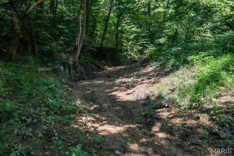 Tiny photo for 000 Ratermann, Silex, MO 63377 (MLS # 26055935)