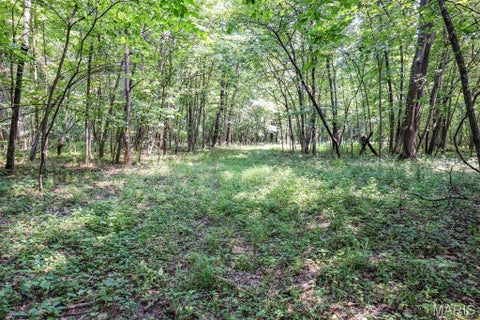Tiny photo for 000 Ratermann, Silex, MO 63377 (MLS # 26055935)