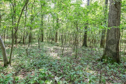 Tiny photo for 000 Ratermann, Silex, MO 63377 (MLS # 26055935)