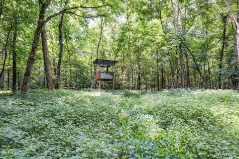 Tiny photo for 000 Ratermann, Silex, MO 63377 (MLS # 26055935)
