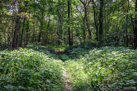 Tiny photo for 000 Ratermann, Silex, MO 63377 (MLS # 26055935)
