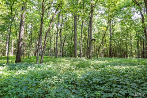 Tiny photo for 000 Ratermann, Silex, MO 63377 (MLS # 26055935)