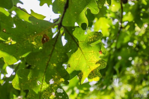 Tiny photo for 000 Ratermann, Silex, MO 63377 (MLS # 26055935)