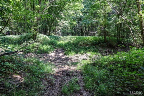 Tiny photo for 000 Ratermann, Silex, MO 63377 (MLS # 26055935)