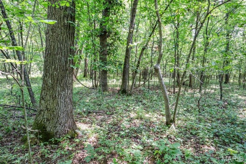 Tiny photo for 000 Ratermann, Silex, MO 63377 (MLS # 26055935)