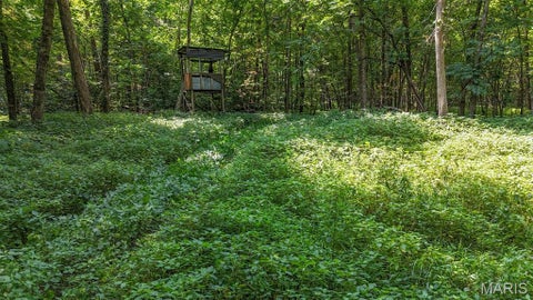 Tiny photo for 000 Ratermann, Silex, MO 63377 (MLS # 26055935)