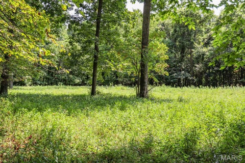 Tiny photo for 000 Ratermann, Silex, MO 63377 (MLS # 26055935)