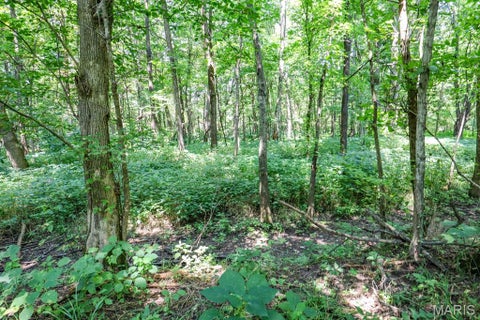 Tiny photo for 000 Ratermann, Silex, MO 63377 (MLS # 26055935)