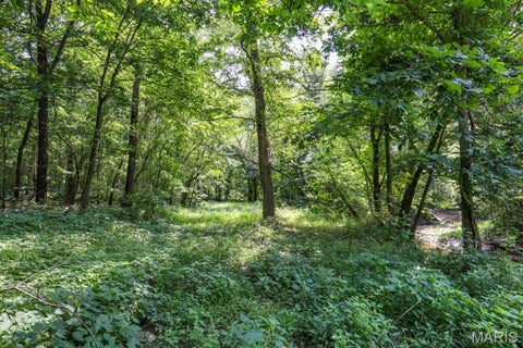 Tiny photo for 000 Ratermann, Silex, MO 63377 (MLS # 26055935)