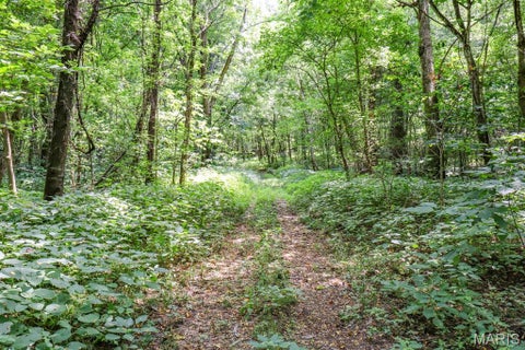 Tiny photo for 000 Ratermann, Silex, MO 63377 (MLS # 26055935)