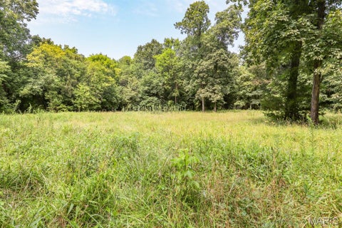 Tiny photo for 000 Ratermann, Silex, MO 63377 (MLS # 26055935)