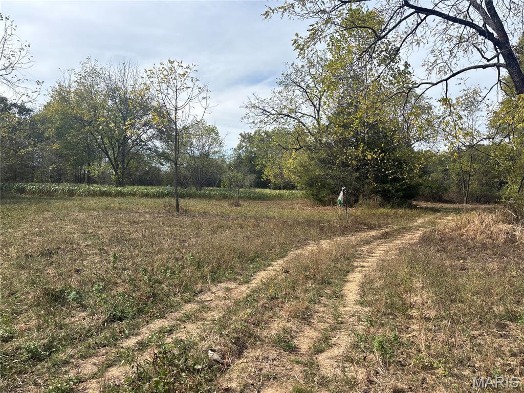 Photo of 1223 State Route Yy, Summersville, MO 65571 (MLS # 26068316)