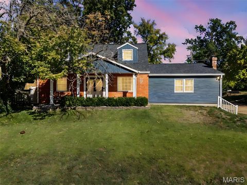 Photo of 1001 Barberry Lane, Kirkwood, MO 63122 (MLS # 25068705)