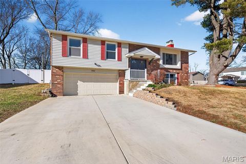893 Napoli Drive Ballwin MO 63021