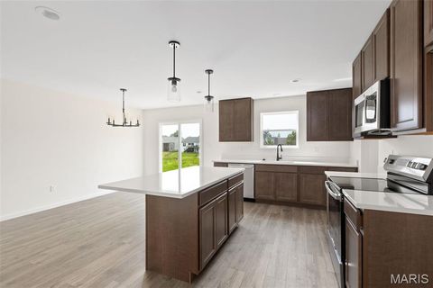Tiny photo for 1033 Westhaven Boulevard, Wentzville, MO 63385 (MLS # 25069517)