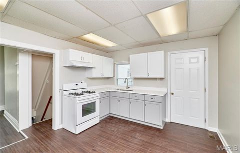 Tiny photo for 4832 Goethe Avenue, St Louis, MO 63116 (MLS # 26019145)