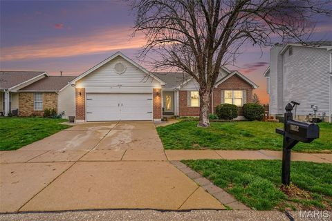 10152 Morgan Ridge Drive Affton MO 63123