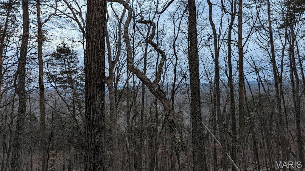 Cedar Hill, Missouri 63016, United States, ,Land,Active,51923