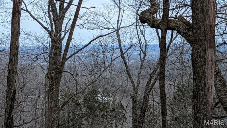 Cedar Hill, Missouri 63016, United States, ,Land,Active,51923