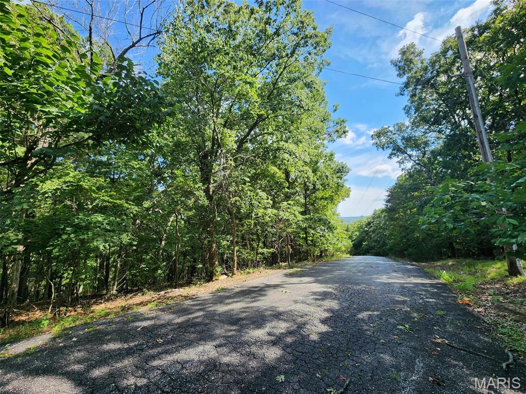 Cedar Hill, Missouri 63016, United States, ,Land,Active,51923