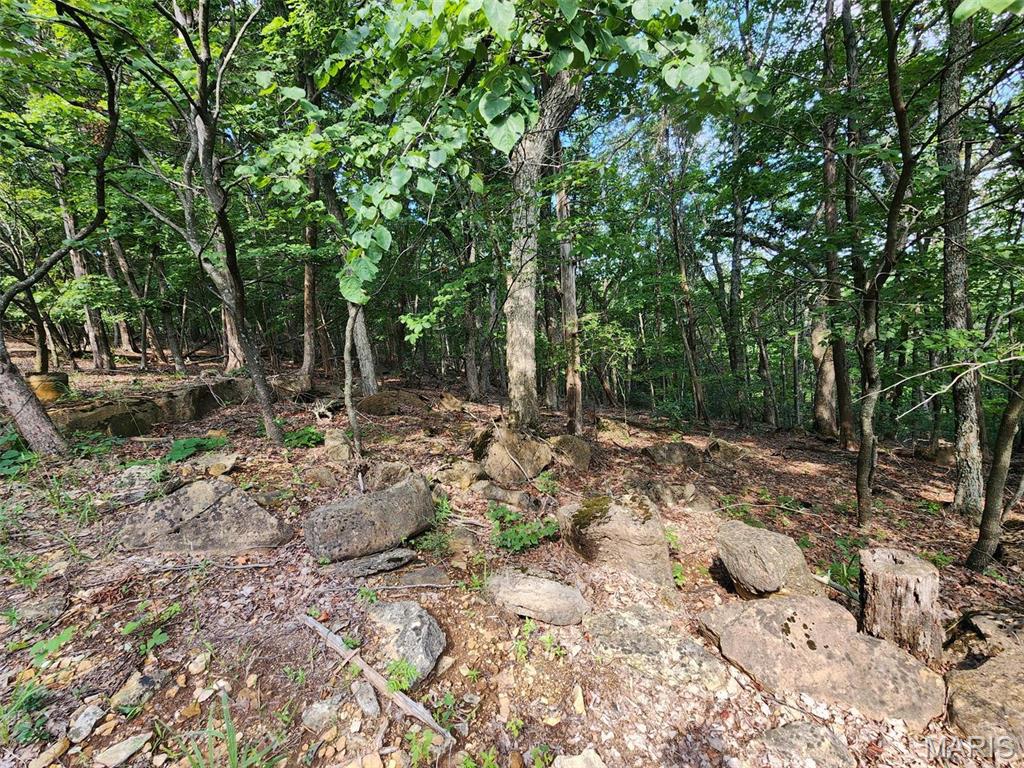 Cedar Hill, Missouri 63016, United States, ,Land,Active,51923