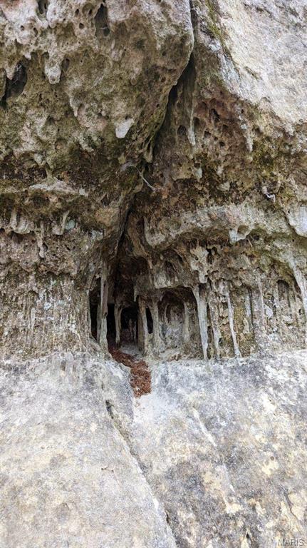 Cedar Hill, Missouri 63016, United States, ,Land,Active,51923