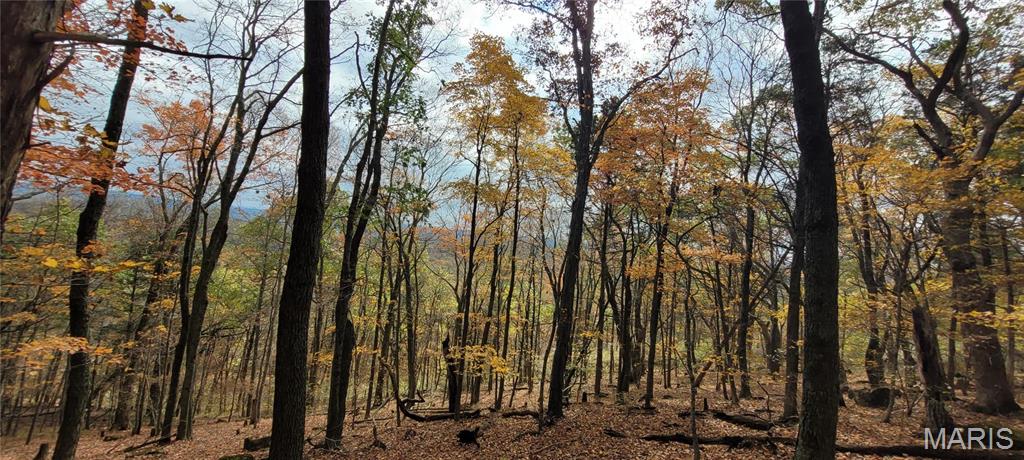 Cedar Hill, Missouri 63016, United States, ,Land,Active,51923