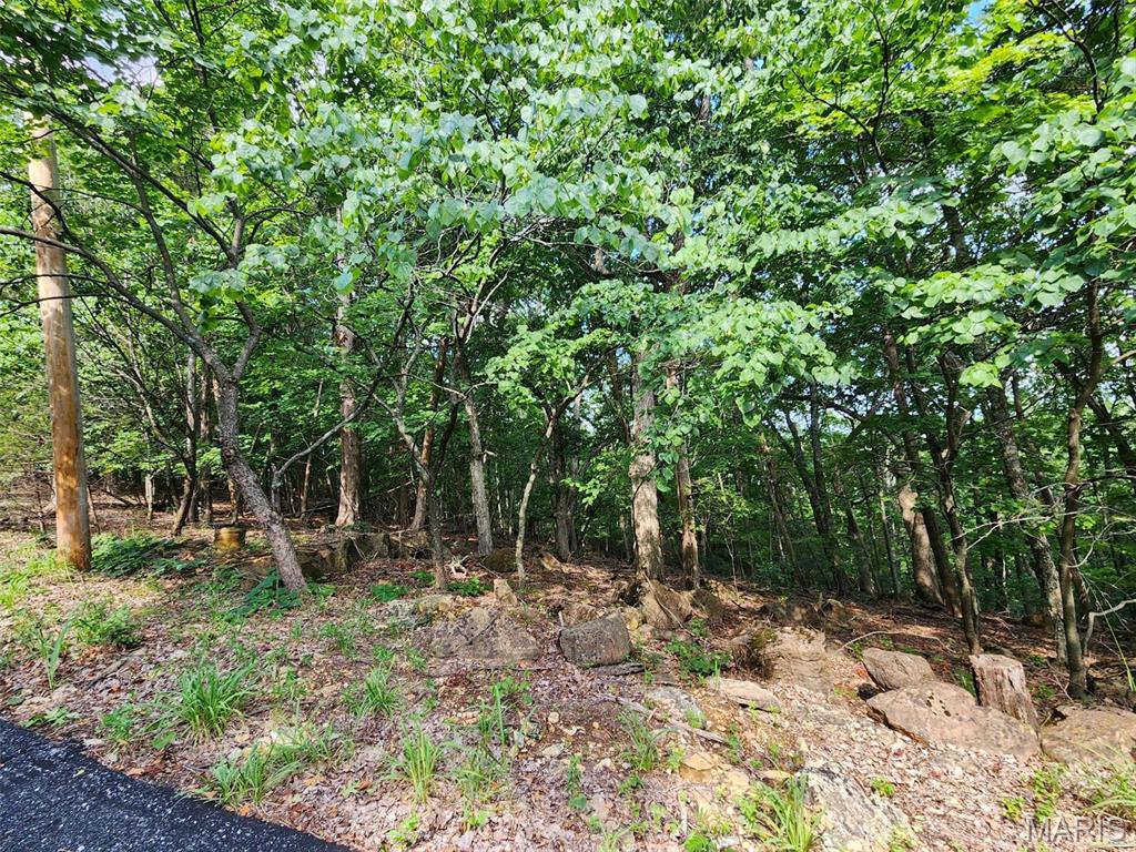 Cedar Hill, Missouri 63016, United States, ,Land,Active,51923