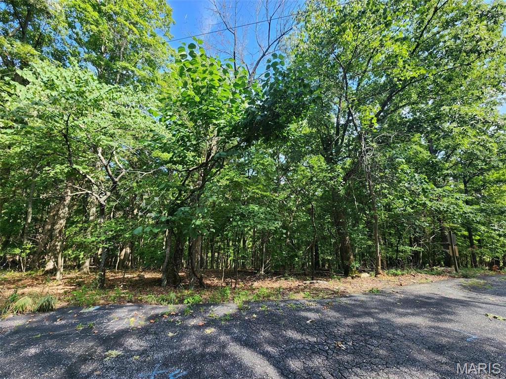 Cedar Hill, Missouri 63016, United States, ,Land,Active,51923