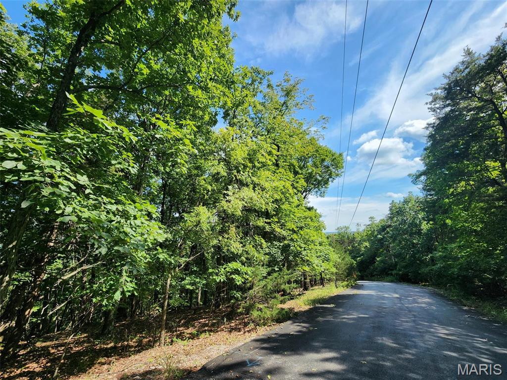 Cedar Hill, Missouri 63016, United States, ,Land,Active,51923