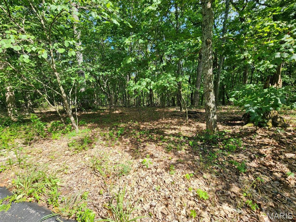 Cedar Hill, Missouri 63016, United States, ,Land,Active,51923