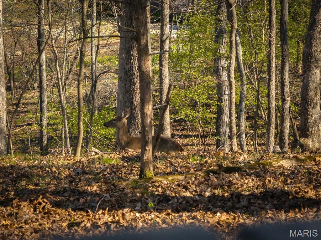 Photo of 1126 Mitten Ridge Drive, Innsbrook, MO 63390 (MLS # 26021126)