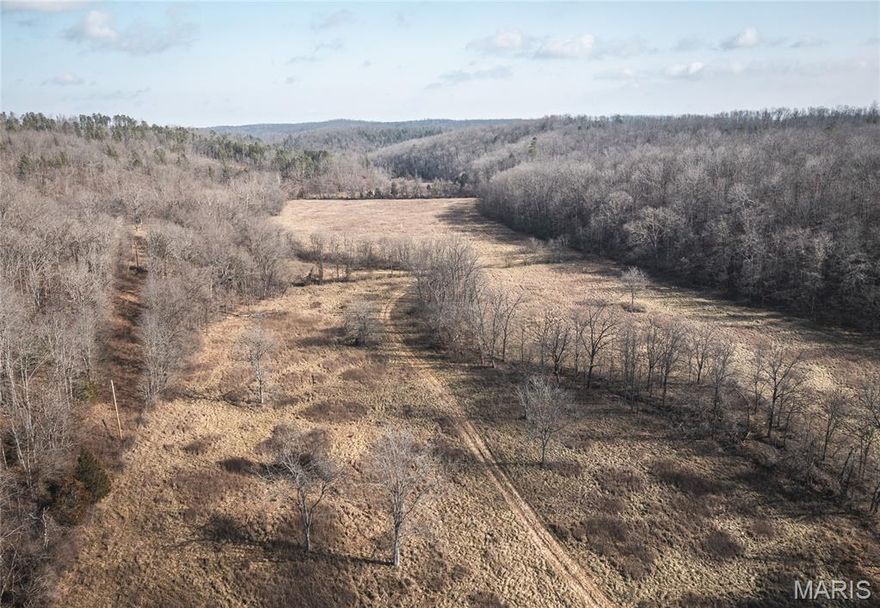 This 83 m/l acre tract offers a beautiful blend of mature timber and rolling topography, ideal for recreational use or a private hunting retreat. The property features multiple wet weather spring fed creeks winding through the timber, providing excellent wildlife habitat and natural travel corridors for deer and turkey. With its secluded setting and diverse terrain, this tract is perfect for those seeking privacy, hunting, or a large acreage investment opportunity.