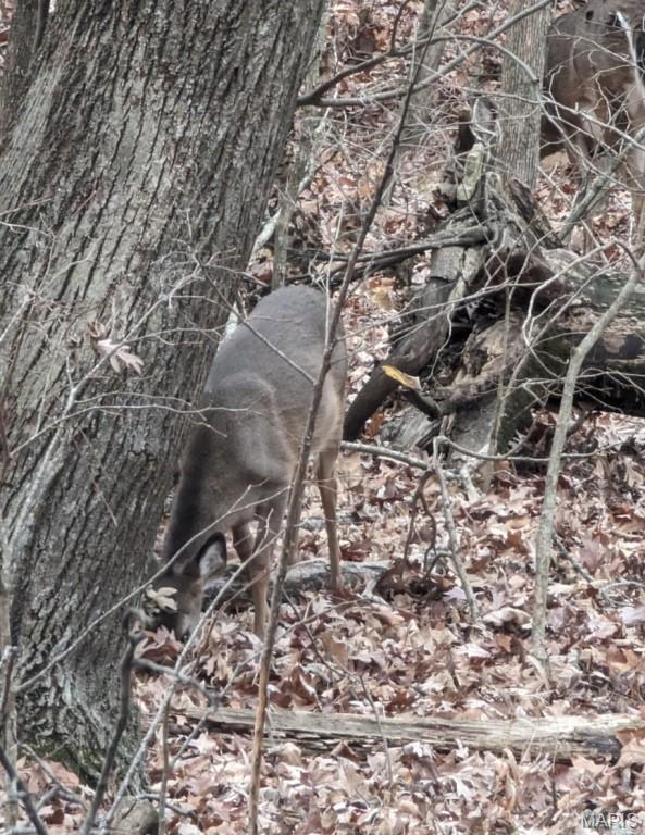 Lake Sherwood Estates - Land